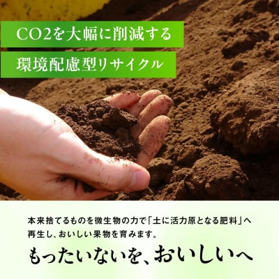【先行受付】糸島産 シャインマスカット 1kg(2-4房) 糸島市 / [AVI006]