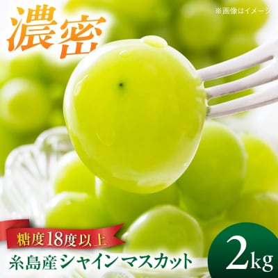 【先行受付】【糖度18度以上】糸島産シャインマスカット2kg / 和饗エコファーム [AVI007]