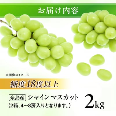 【先行受付】【糖度18度以上】糸島産シャインマスカット2kg / 和饗エコファーム [AVI007]