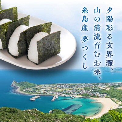 【全12回定期便】【こだわり精米糸島産 夢つくし 5kg 糸島市/RCF 米 [AVM005]