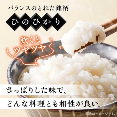 【こだわり精米】【令和6年産】 糸島産 ひのひかり 20kg(5kg×4) [AVM010]