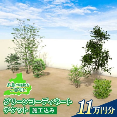 グリーンコーディネートチケット【施工込み】糸島市/サン・グリーン 園芸 植木 [AVN001]
