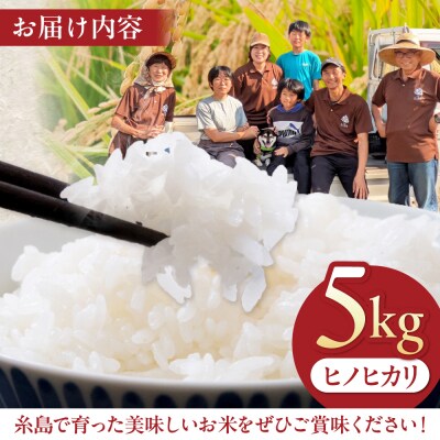 糸島市産 白米 ヒノヒカリ 5kg / 谷川農園 [AVQ006]