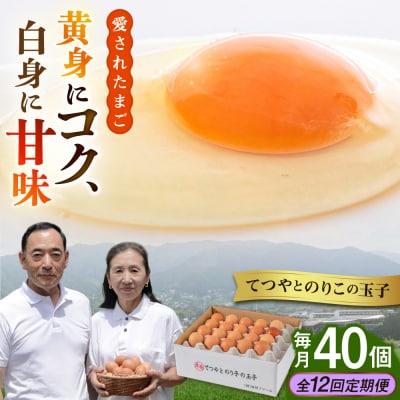 【全12回定期便】てつやとのりこの玉子 【 40個 】 糸島市 / 板垣ファーム [AWD022]
