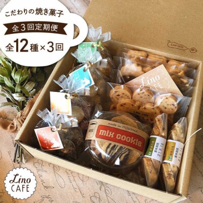 【全3回定期便】LinoCAFEこだわりの焼き菓子全12種ギフトセット[AXI005]
