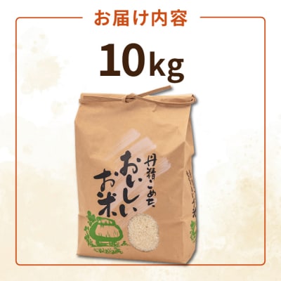 糸島産 ヒノヒカリ 10kg 糸島市 / 平山農園 [AXN006]