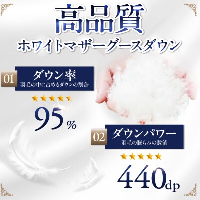 【ダブル】 羽毛 布団 本掛け 2層式 ポーランド産 グースダウン95%  [AYM030]