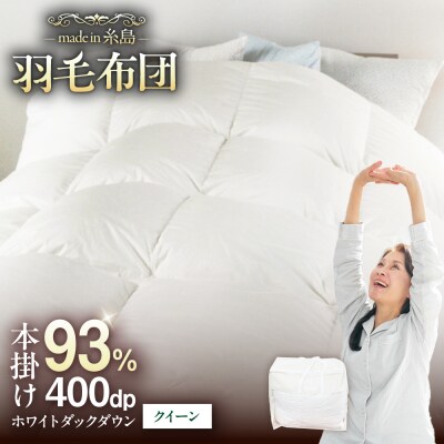 羽毛 布団 本掛け 無地 ブルガリア産 ダウン93%【クイーン】 [AYM036]