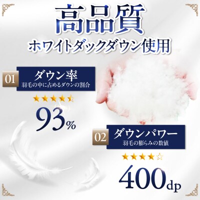羽毛 布団 本掛け 無地 ブルガリア産 ダウン93%【キング】 [AYM037]