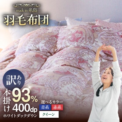 【訳あり】羽毛 布団 本掛け 柄おまかせ フランス産 ダウン93%【クイーン】[AYM039]