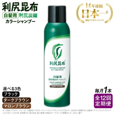 【全12回定期便】[白髪用]利尻炭酸カラーシャンプー 株式会社ピュール[AZA050]
