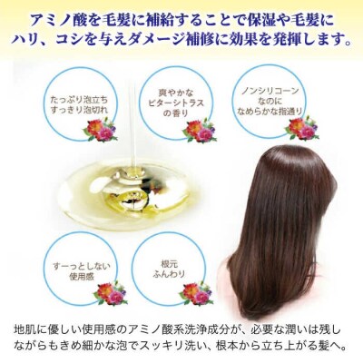 【全3回定期便】[薬用]利尻頭皮シャンプー+コンディショナー[医薬部外品]2本[AZA103]