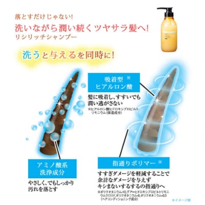 【2本セット】リシリッチシャンプー[無添加]+リシリッチコンディショナー[無添加][AZA133]