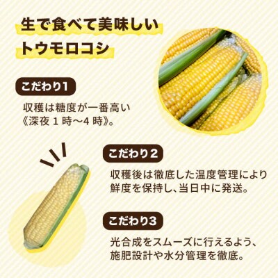 糸島産 トウモロコシ「もきっこ」黄(10本前後) 糸島市/内田農業[AZH001]