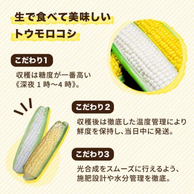 糸島産 トウモロコシ「もきっこ」白黄ミックス(10本前後)糸島市/内田農業[AZH003]