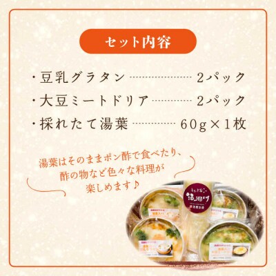湯葉三昧セット(豆乳グラタン×2+大豆ミートドリア×2+湯葉60g) 酒瀬川[AZJ009]