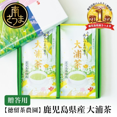 鹿児島県産緑茶 大浦茶 一番茶 2本セット(100g×2) [贈答用]