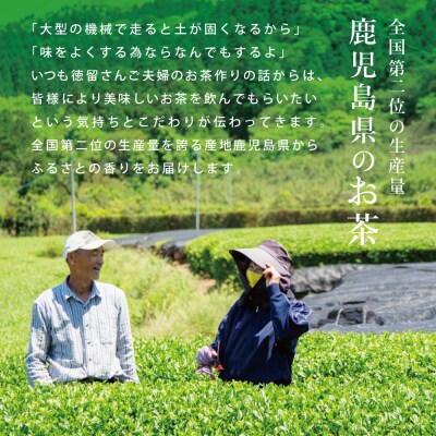鹿児島県産緑茶 大浦茶 一番茶 2本セット(100g×2) [贈答用]