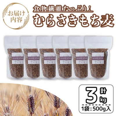  むらさきもち麦 (計3kg ・500g×6袋) 