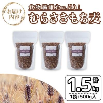  むらさきもち麦 (計1.5kg ・500g×3袋) 