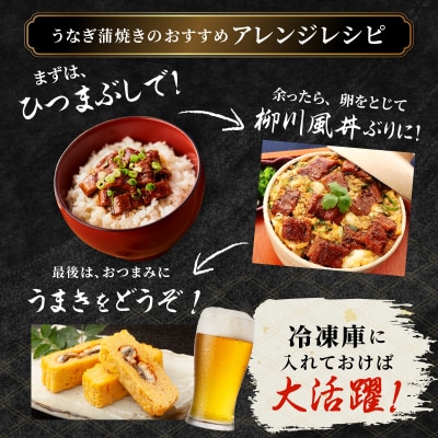 おおさきうなぎ(鹿児島県産うなぎきざみ)20袋セット