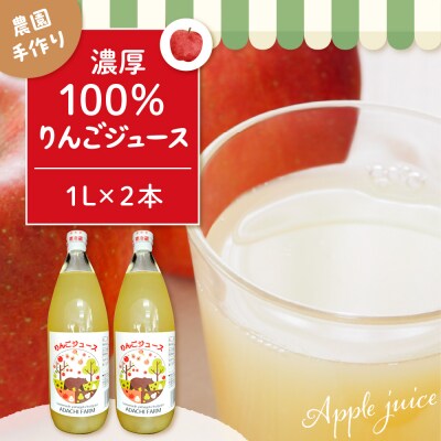 100%りんごジュース 1L 2本セット 山形県 東根市 hi037-005