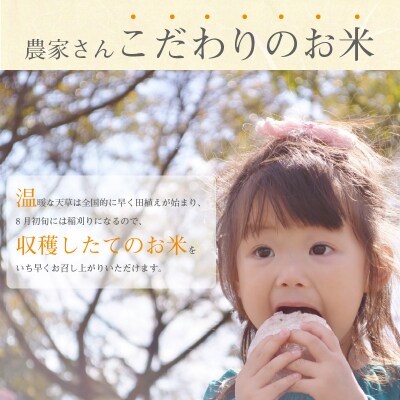 【令和7年産】コシヒカリ 精米 5kg_S050-007A