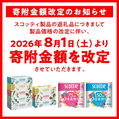 【定期便】 ティッシュ 250組 60箱  フラワーボックス スコッティ 全2回_186-6569