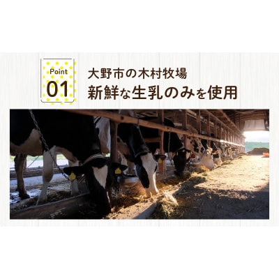 越前大野の「名水育ち生乳ジェラート」おまかせ 6個セット