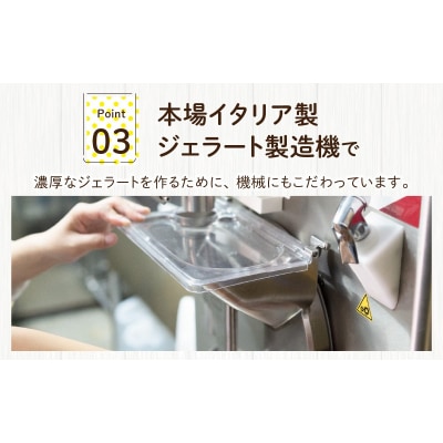 越前大野の「名水育ち生乳ジェラート」おまかせ 6個セット