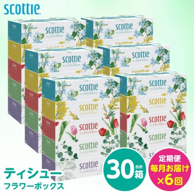 【毎月定期便】 ティッシュ 250組 30箱 日用品 スコッティ 全6回_186-6657