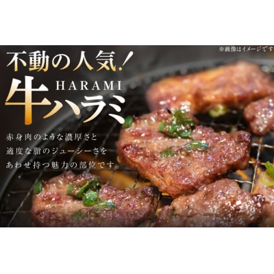 牛肉 味付き 牛ハラミ 300g 3P 計900g [20566103]