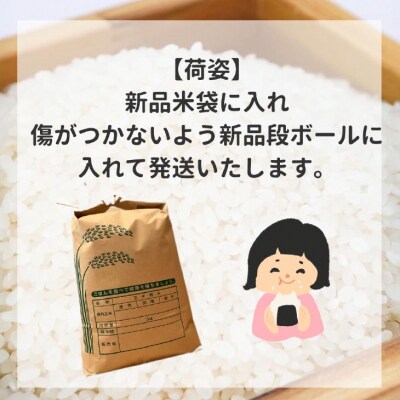 令和7年産　淡路島産こしひかり　白米10kg