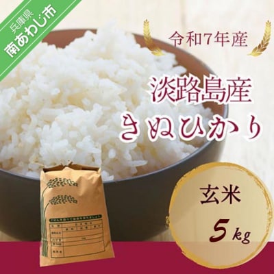 令和7年産　淡路島産キヌヒカリ　玄米5㎏