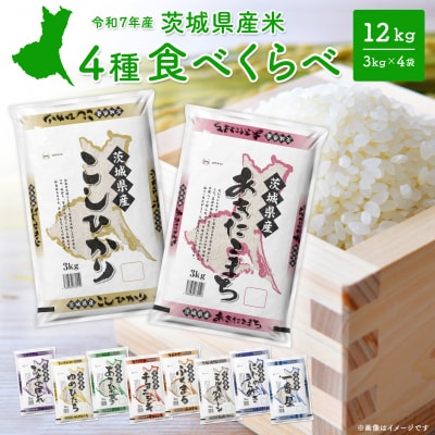 白米 4種 12kg 令和8年7月内-8月上旬発送 米 K1141
