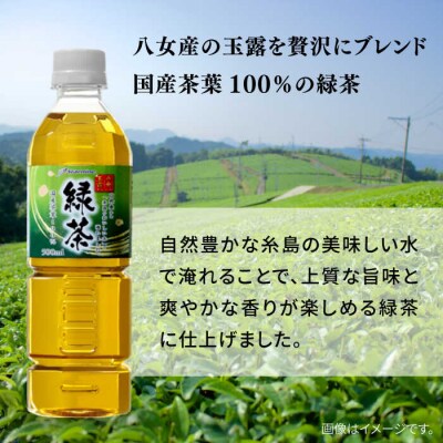 【全6回定期便】八女玉露入り緑茶500ml×24本 スターナインお茶ペットボトル[ARM016]