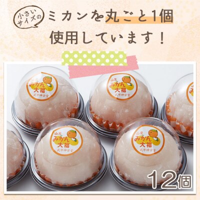 笑顔こぼれる!山北みかん大福 12個 yd-0023