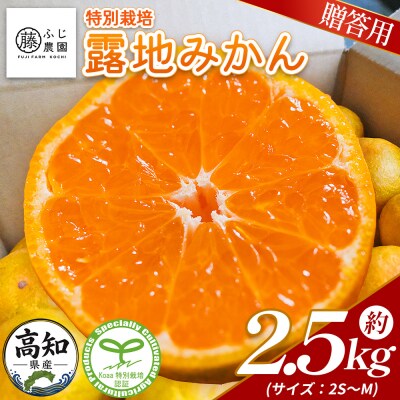 【特別栽培みかん】ふじ農園の露地みかん 贈答用 2.5kg (2S～M) fn-0009