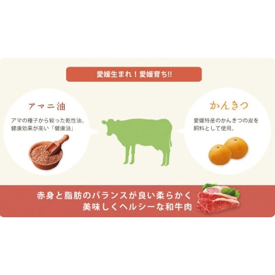 愛媛あかね和牛 赤身薄切り 約1500g | 約1.5kg 国産 和牛【SZS013】