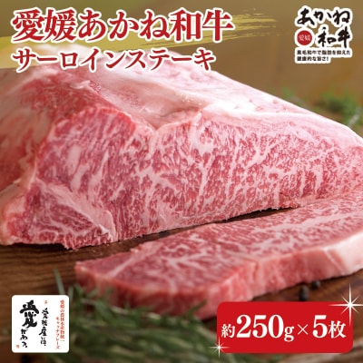 愛媛あかね和牛　サーロインステーキ(約250g×5枚)【SZS007】
