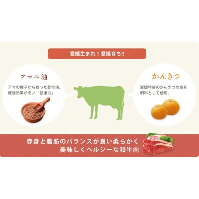 愛媛あかね和牛　サーロインステーキ(約250g×1枚)【SZS011】