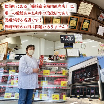 愛媛あかね和牛　サーロインステーキ(約250g×1枚)【SZS011】