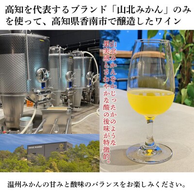 ワイン 山北みかんワイン 1本 750ml iw-0006
