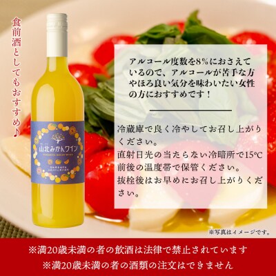 ワイン 山北みかんワイン 1本 750ml iw-0006