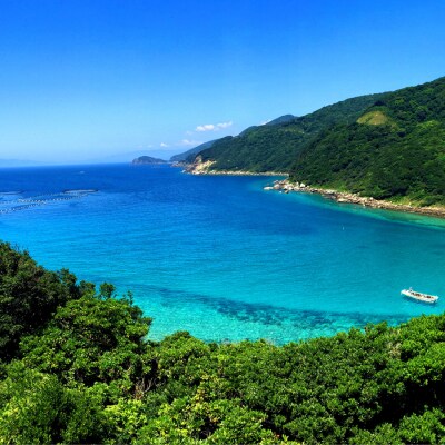 フィッシュレザー フィレ型キーホルダー【鰤】Navy Blue