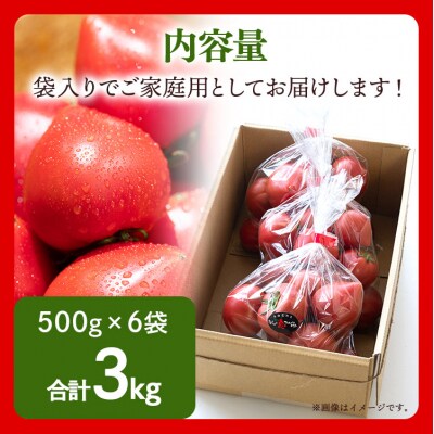 【先行受付】野菜ソムリエが育てた 家庭用 フルーツトマト 計3kg(500g×6袋) mj-0022