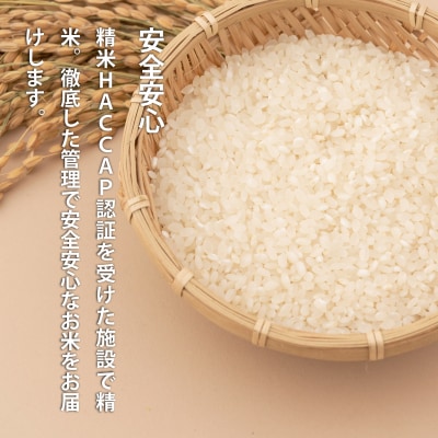 特Aランク ななつぼし(無洗米)5kg 6回コース『定期便』【A-018】