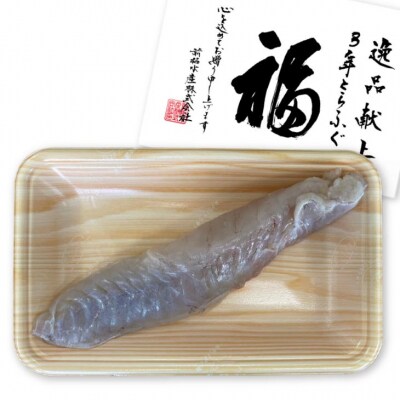 【前拓水産】淡路島3年とらふぐ　活上身/片身(10P)