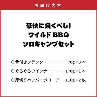豪快に焼くべし!ワイルドBBQソロキャンプセット_2250R