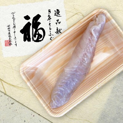 【冷凍】淡路島3年とらふぐ(活上身/片身)